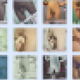 Image for article titled Tumblr Porn Ban Leaves Artists And Fans Seeking New Platforms